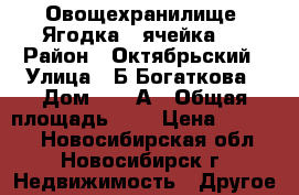 Овощехранилище “Ягодка“ (ячейка)  › Район ­ Октябрьский › Улица ­ Б.Богаткова › Дом ­ 200А › Общая площадь ­ 4 › Цена ­ 35 000 - Новосибирская обл., Новосибирск г. Недвижимость » Другое   